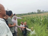 十二小时深夜搜寻，邓州多方联动找回走失老人