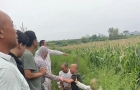 十二小时深夜搜寻，邓州多方联动找回走失老人